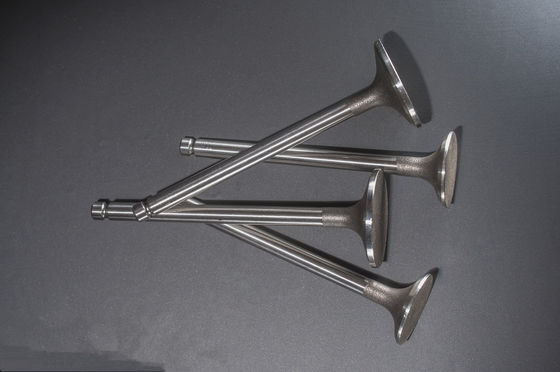 1425ccm geveegde de Dieselmotorkleppen van de Volumeuitlaat voor Yanmar 3T84 3TNA84 4TNC88